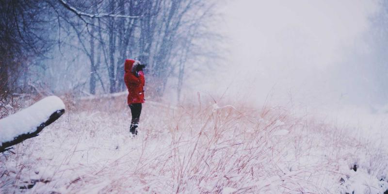 OXB Education21：重新定义教育手机，赋能未来学习者的智能资源平台