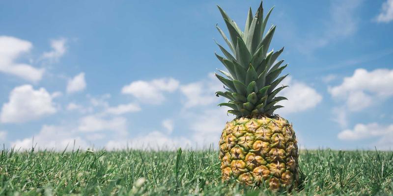 OXB Education53：重新定义学习工具，教育电话如何成为学生的智能资源中心