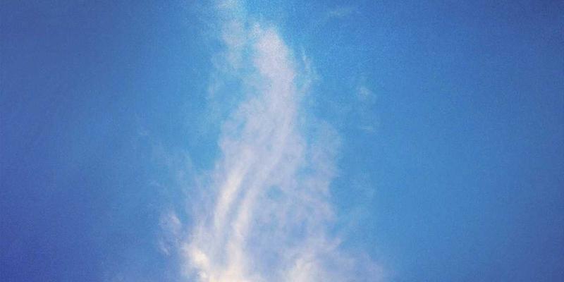 OXB Education55：重新定义学习辅助工具，开启高效学习新时代