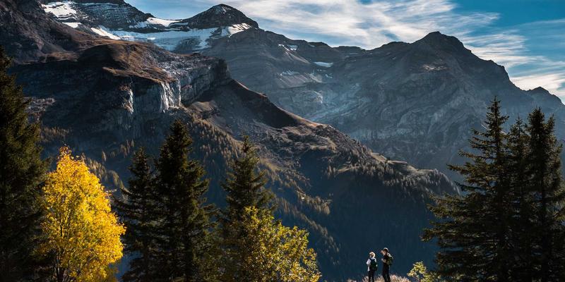 OXB Education：以学生为中心的教育科技资源平台如何重塑学习体验