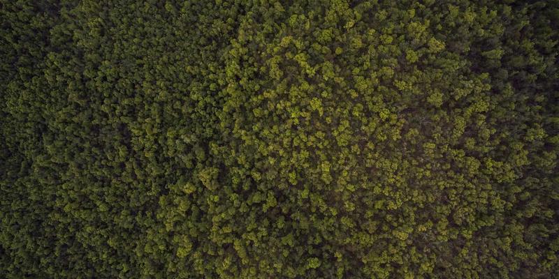 OXB Education如何为文科生打造友好的编程转型课程：教育科技的力量