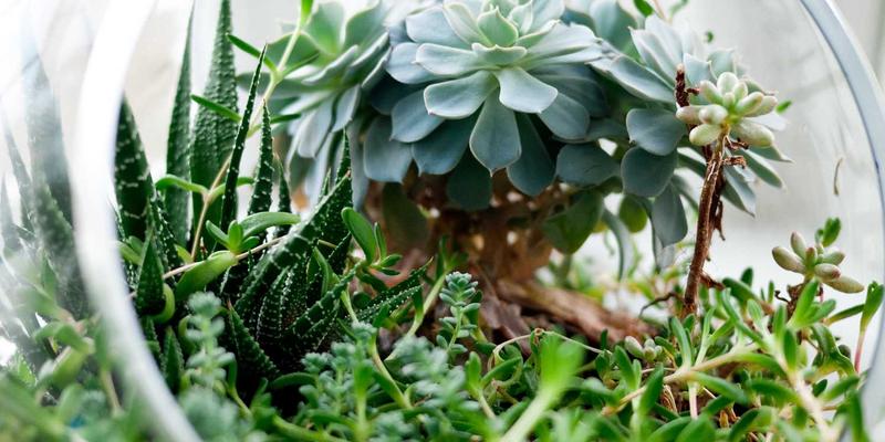 OXB Education如何通过创新learning tools与student resources搭建科技人才输送桥梁