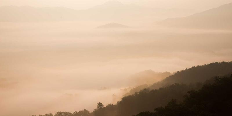 OXB Education微证书体系价值解析：用模块化技能点亮求职之路