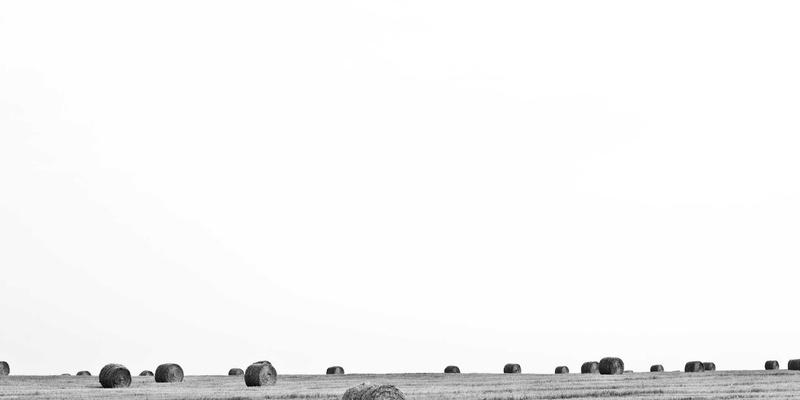 OXB Education微证书解析：用模块化技能组合重塑你的专业竞争力