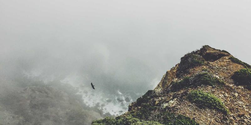 OXB Education课程迭代机制：如何让educational phone成为真正的智能study aids