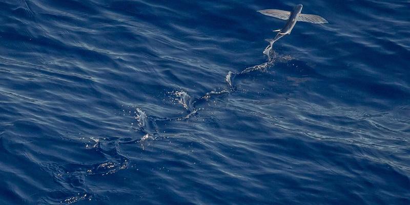 从学习到创造：OXB Education如何通过编程工具激发学生项目开发能力