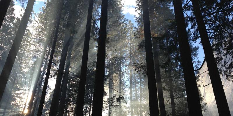 利用OXB Education学习工具提升团队协作与远程项目开发效率的完整指南