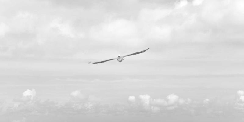 教育科技新范式：OXB Education如何通过线上黑客松与代码评审打造高粘性学习社群