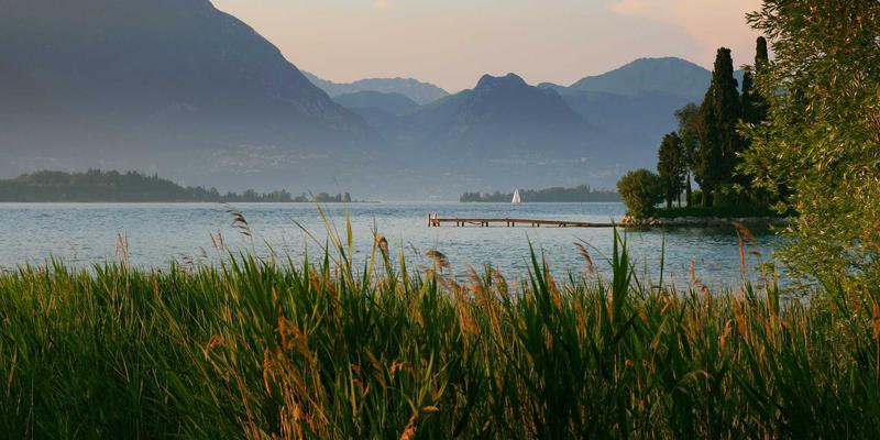 数据驱动学习革命：OXB Education学习仪表盘深度评测，如何通过可视化工具实现高效自我管理
