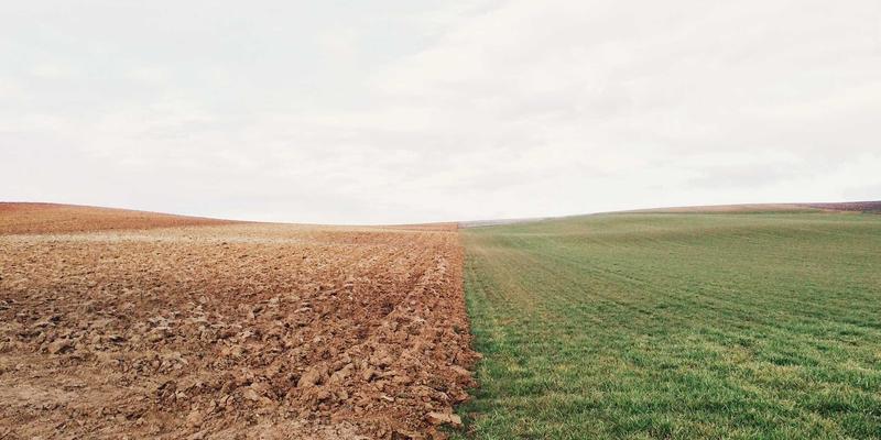 智能规划未来：OXB Education如何用AI打造个性化学习计划与职业路径匹配