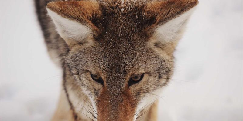 解锁职业新机遇：OXB Education行业微证书如何用教育科技塑造企业认可的专业技能